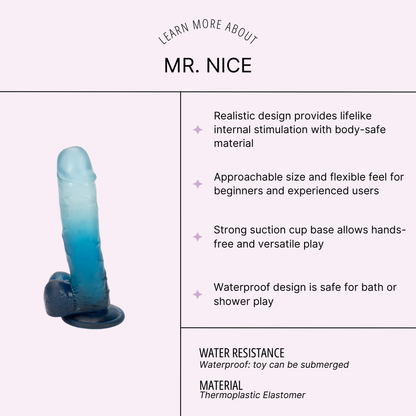 Mr. Nice